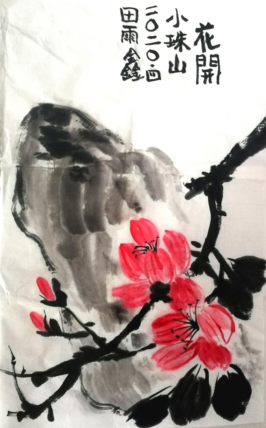 1589441959816008.png